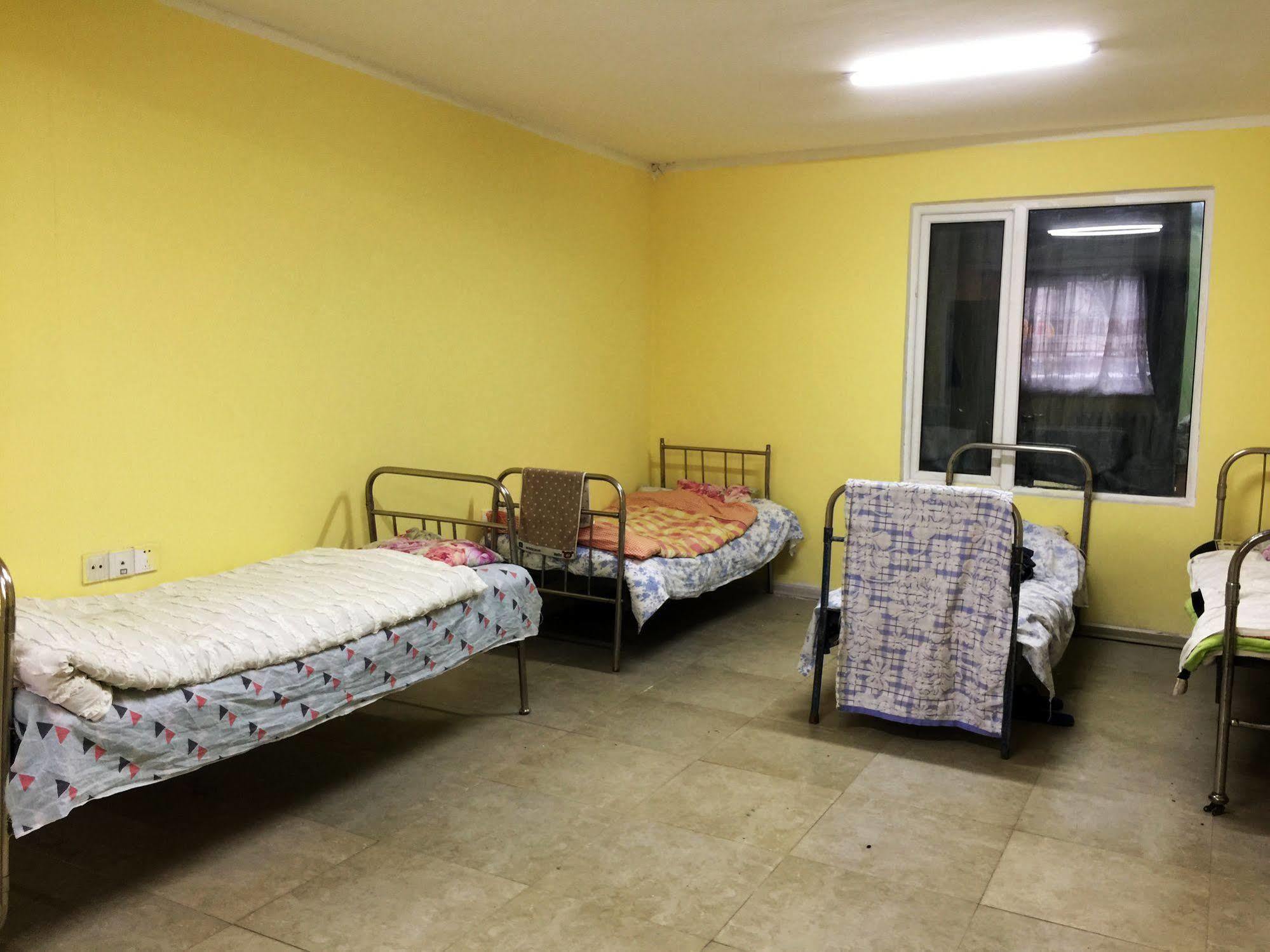 Travel Mongolia Guesthouse 울란바토르 외부 사진